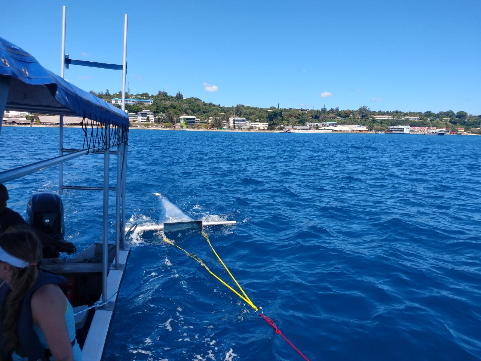 Water sampling using a trawl